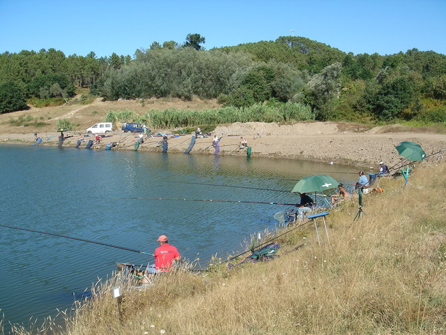 DSC02467.JPG