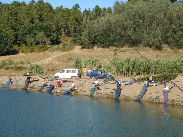DSC02470.JPG