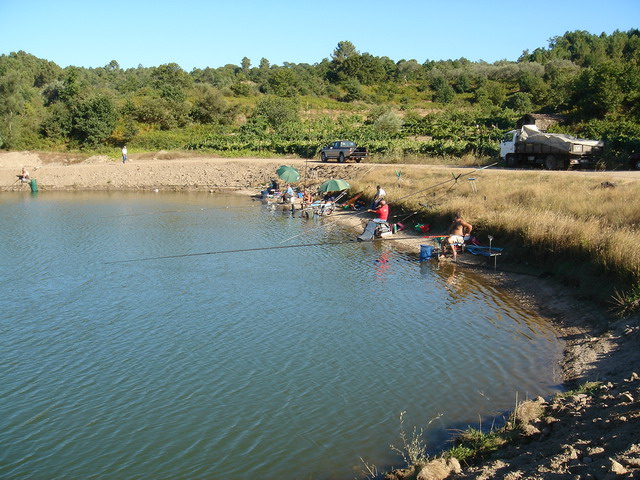 DSC02473.JPG