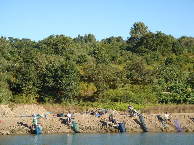 DSC02478.JPG