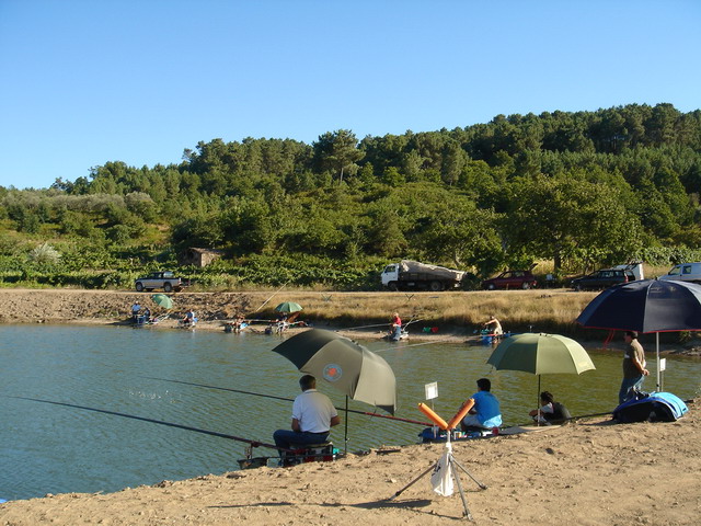 DSC02484.JPG
