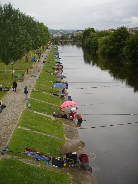 DSC_006.JPG