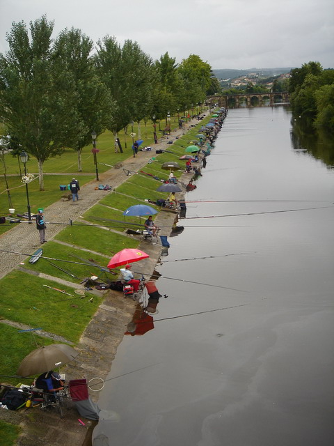 DSC_007.JPG