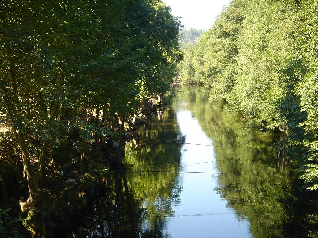 DSC05043.jpg