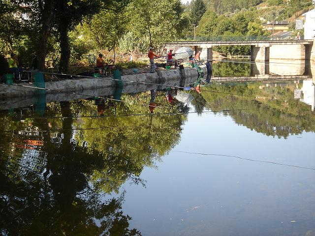 DSC05047.jpg
