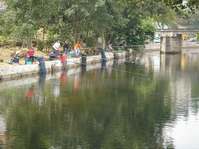 DSC06193.jpg