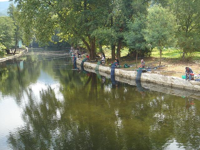 DSC06196.jpg