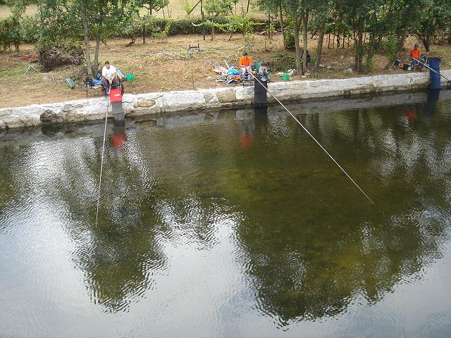 DSC06201.jpg