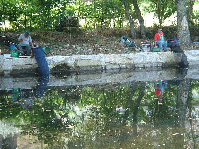 DSC06204.jpg