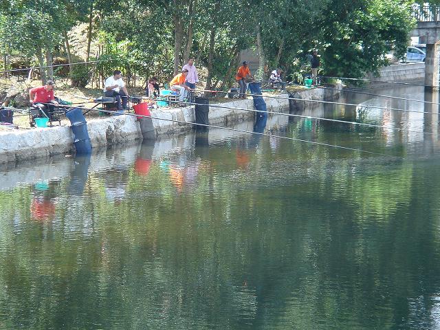 DSC06205.jpg