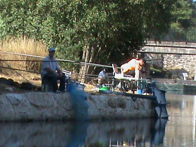 DSC00222.JPG