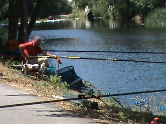 DSC00226.JPG