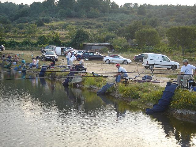 DSC03782.jpg