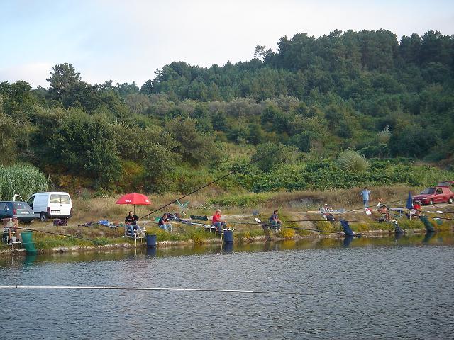 DSC03783.jpg