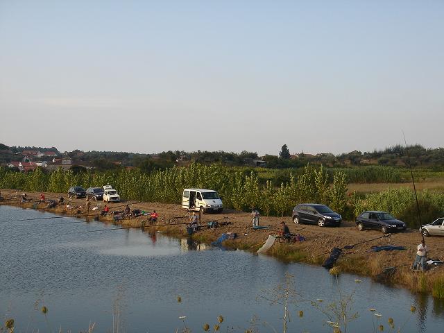 DSC03786.jpg