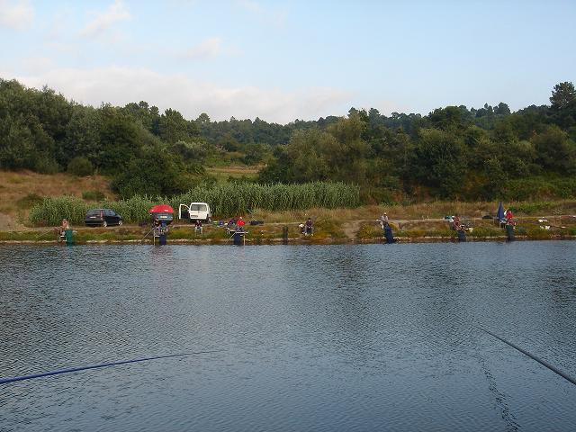 DSC03790.jpg