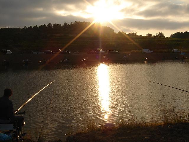 DSC03794.jpg