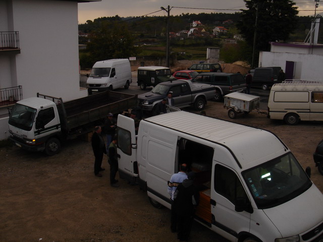 repovoamentocoelho005.JPG