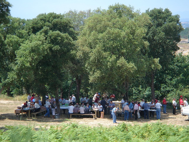 DSC02164.JPG
