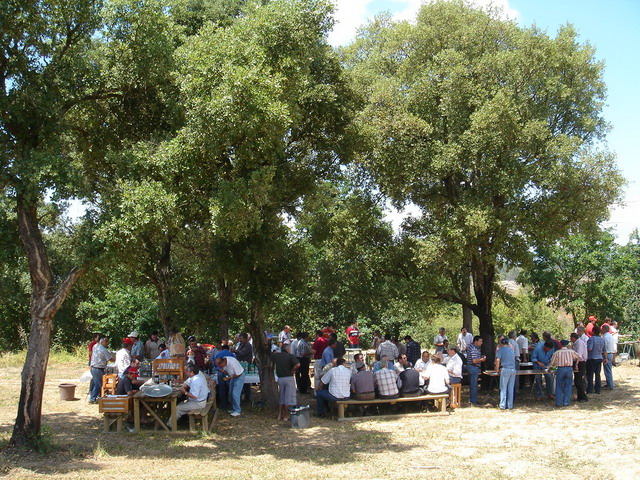 DSC02167.JPG