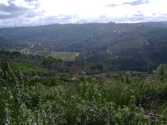 Montaria_2007_05.JPG