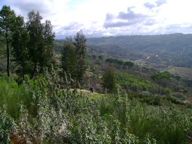 Montaria_2007_06.JPG