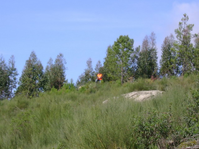 Montaria_2007_08.JPG