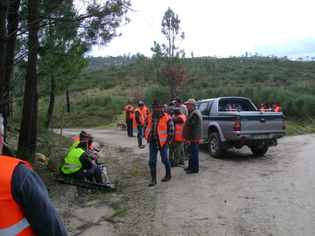 Montaria_2007_09.JPG