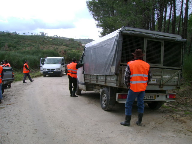 Montaria_2007_10.JPG
