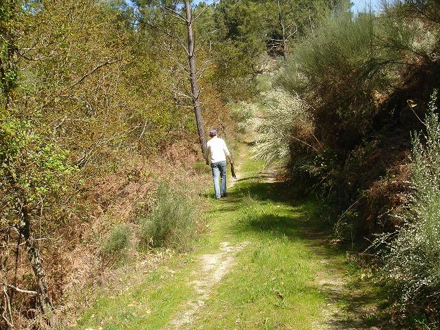 DSC04253.jpg