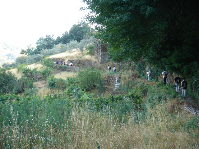 DSC02394.jpg