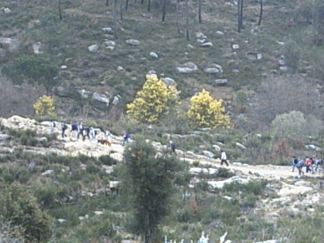 Marchadevilafranca006.jpg