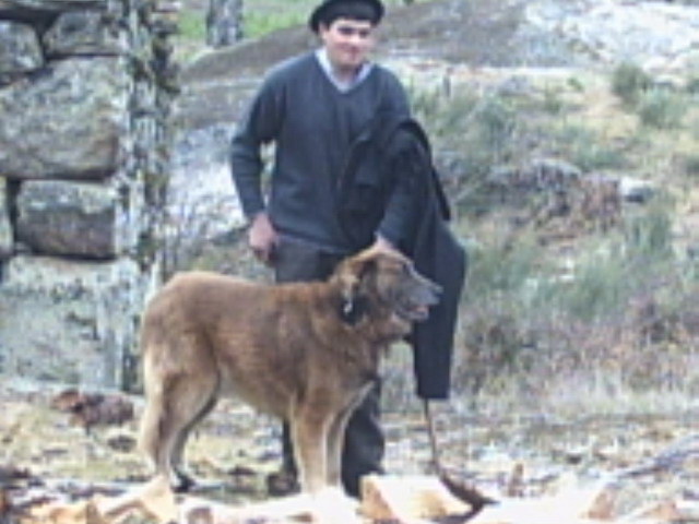 Marchadevilafranca008.jpg