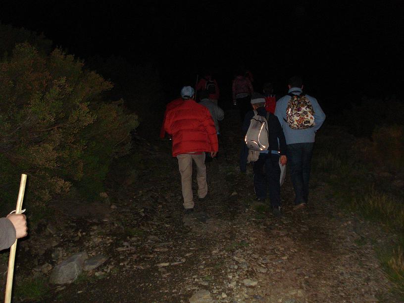 DSC09274.jpg